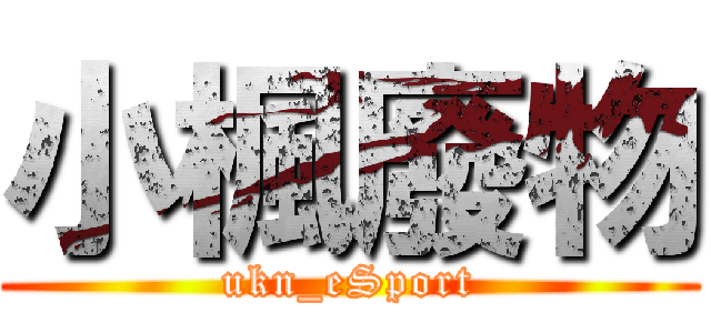 小楓廢物 (ukn_eSport)