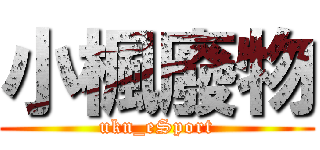 小楓廢物 (ukn_eSport)
