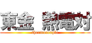 東金 熱電対 (thermocouple)