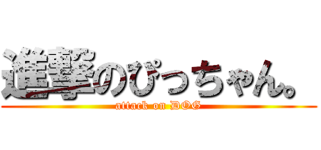 進撃のぴっちゃん。 (attack on DOG)