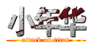 小年华 (attack on titan)