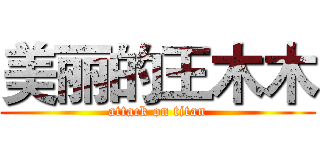 美丽的王木木 (attack on titan)