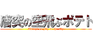 唐突の空飛ぶポテト (Abrupt on Fly in the sky)