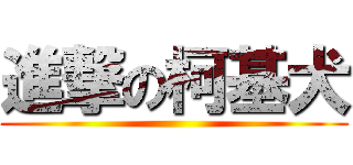 進撃の柯基犬 ()