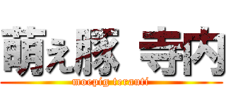 萌え豚 寺内 (moepig terauti)
