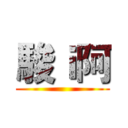 駿ｉ阿 ()