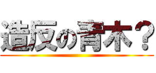 造反の青木？ ()