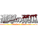 進撃の菜瓜 (attack on titan)