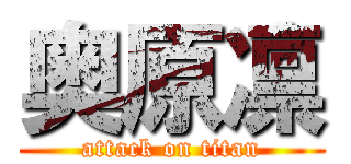 奥原凛 (attack on titan)