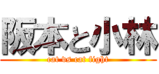 阪本と小林 (cat vs cat fight)