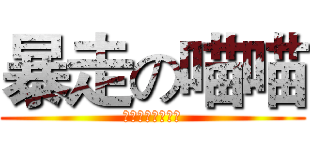 暴走の喵喵 (盘古太虚侯（鑫）)