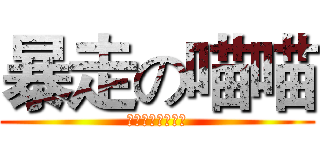 暴走の喵喵 (盘古太虚侯（鑫）)