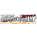 進撃の南瓜妮 (attack on pnfc)