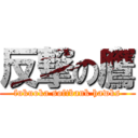 反撃の鷹 (fukuoka softbank hawks)