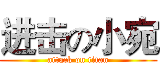进击の小宛 (attack on titan)