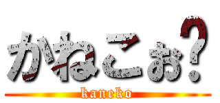 かねこぉ〜 (kaneko)