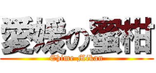 愛媛の蜜柑 (Ehime Mikan)