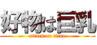 好物は巨乳 (attack on titan)