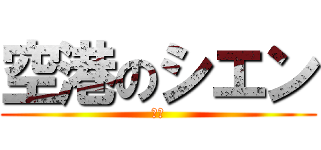 空港のシエン (警備)