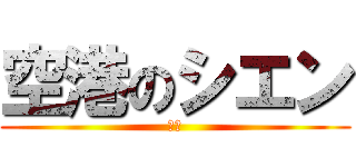 空港のシエン (警備)