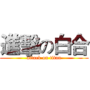進擊の白合 (attack on titan)