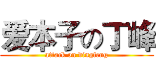 爱本子の丁峰 (attack on dingfeng)