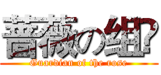 蔷薇の组❀ (Guardian of the rose)
