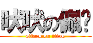 吠吠の佩雯 (attack on titan)
