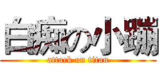 白痴の小蹦 (attack on titan)