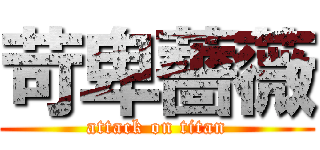 苛卑薔薇 (attack on titan)