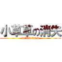 小草草の消失 (-DEAD END-)