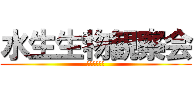 水生生物観察会 (かんさつかい)