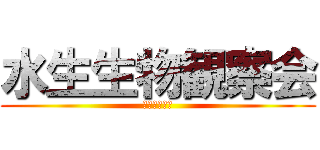 水生生物観察会 (かんさつかい)