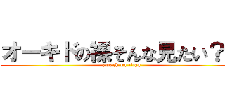 オーキドの裸そんな見たい？ｗ (attack on titan)
