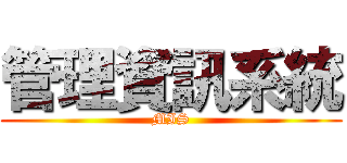 管理資訊系統 (MIS)