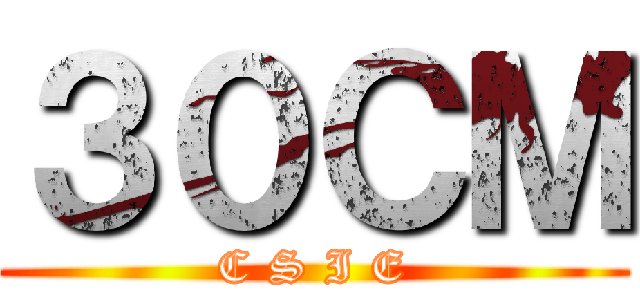 ３０ＣＭ (C S I E)