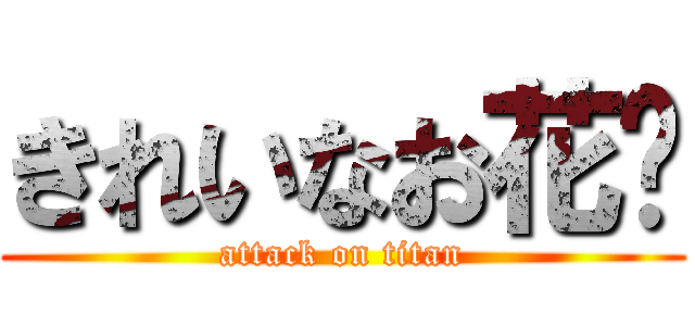 きれいなお花🌼 (attack on titan)