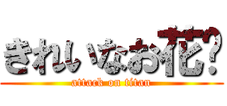 きれいなお花🌼 (attack on titan)