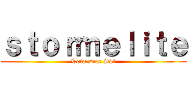 ｓｔｏｒｍｅｌｉｔｅ (Tota Dax Ski)