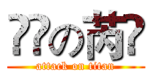 進撃の芮儀 (attack on titan)