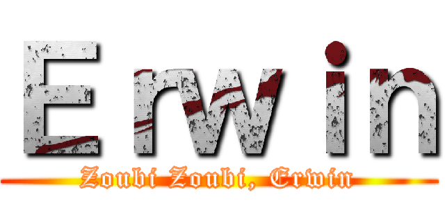 Ｅｒｗｉｎ (Zoubi Zoubi, Erwin)