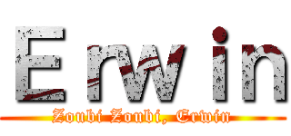 Ｅｒｗｉｎ (Zoubi Zoubi, Erwin)