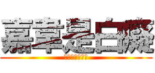 嘉韋是白癡 (上面那個是白癡)