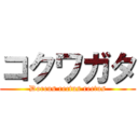 コクワガタ (Dorcus rectus rectus)