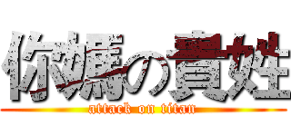 你媽の貴姓 (attack on titan)