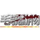 毛顎動物 (Chaetognatha)