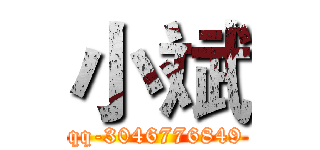 小斌 (qq-3046776849)