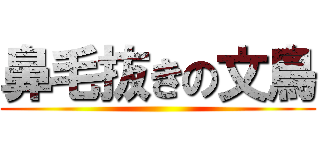 鼻毛抜きの文鳥 ()