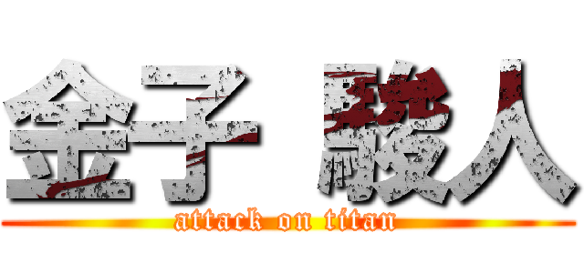 金子 駿人 (attack on titan)