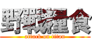 野戰糧食 (attack on titan)